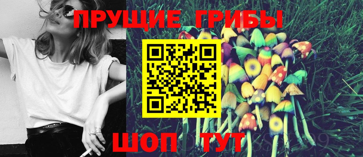 Псилоцибиновые грибы MAGIC MUSHROOMS Лосино-Петровский