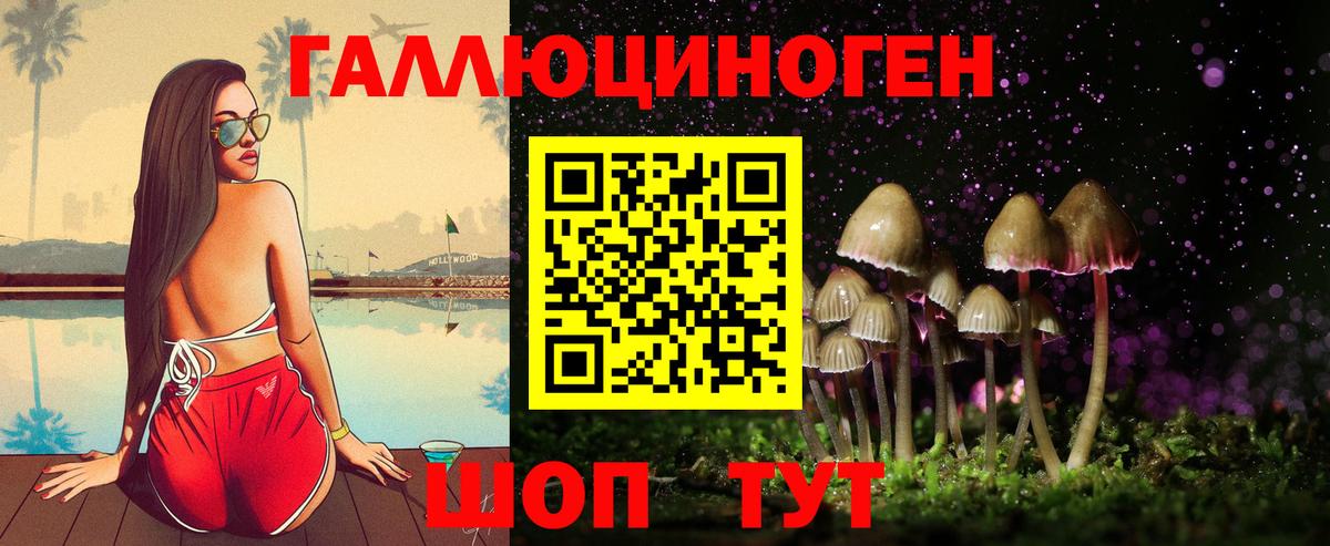 Лосино-Петровский  Псилоцибиновые грибы прущие грибы  где купить наркоту  Вход с VPN 
